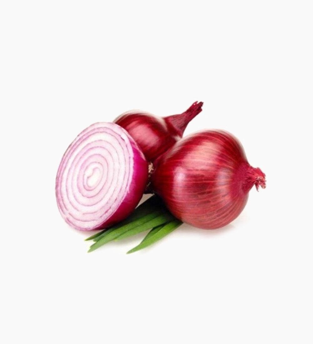 red-organic-onion-almaverde-bio-3