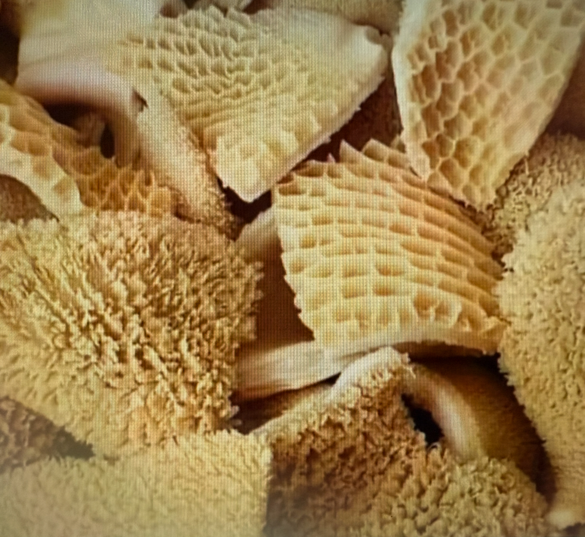 3B4E1744-39C2-4B9A-B4F1-A75C12B84809_1_201_a