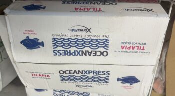 Tilapia ~ 6kg Box (Frozen)